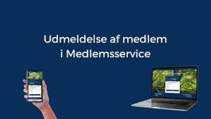 Udmeld DDS